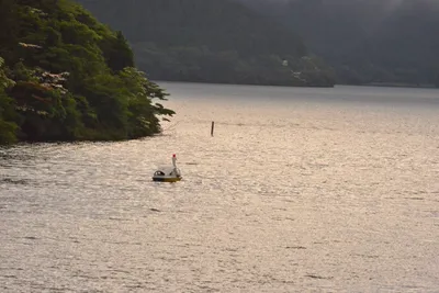 DSC_3772 (Large).JPG